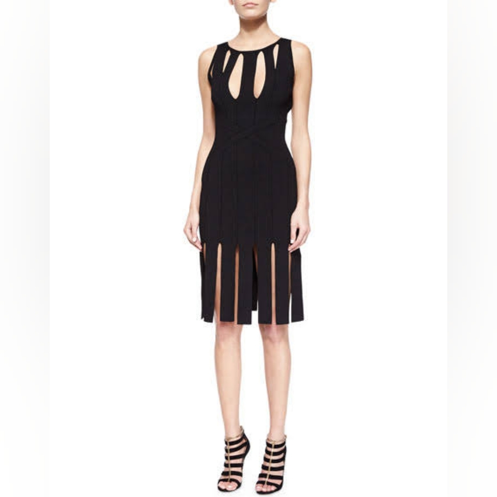 NWT high end designer carwash skirt dress